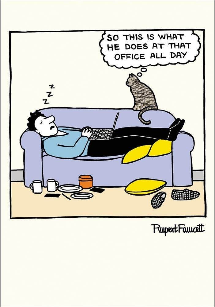 On The Prowl Sofa Nap Greetings Card - House of Cards