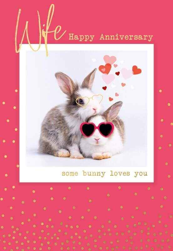 Wife Anniversary Greeting Card - House of Cards