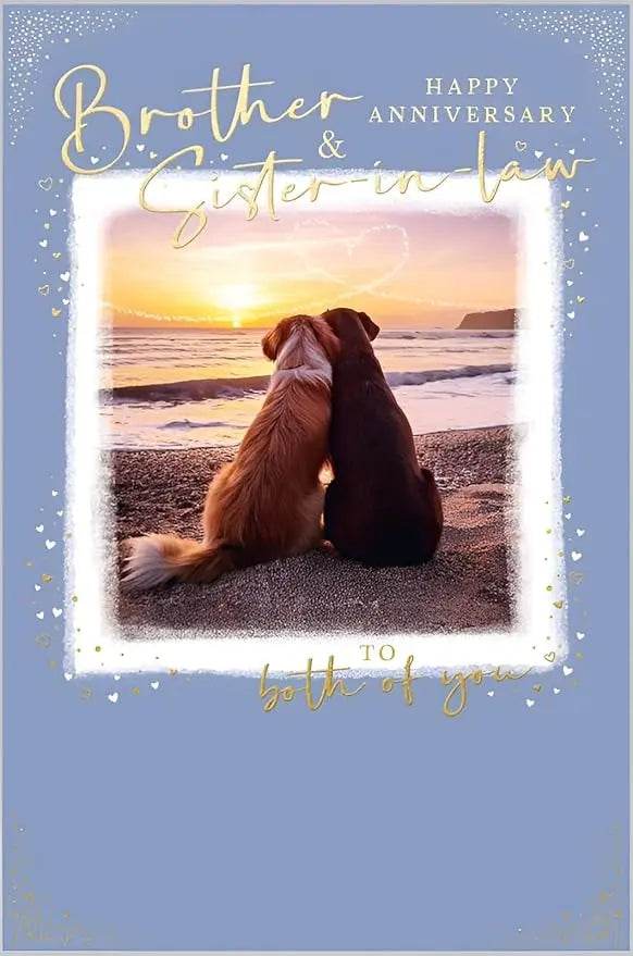 Brother and Sister in Law Anniversary Card - House of Cards