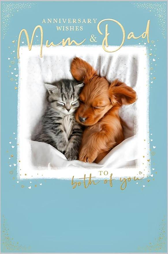 Mum and Dad Cat and Dog Anniversary Card - House of Cards