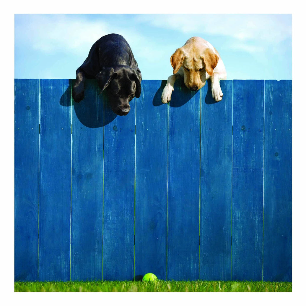 Out of The Park - House of Cards