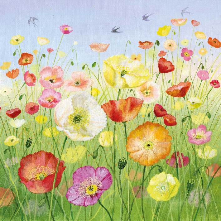 Icelandic Poppies Greeting Card - House of Cards