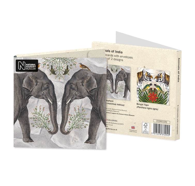 Animals of India Notecards - House of Cards