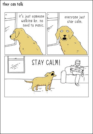 They Can Talk - Stay Calm