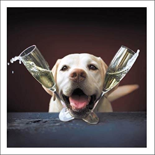 The Life of the Party Loose Leashes Greeting Card by Ron Schm - House of Cards