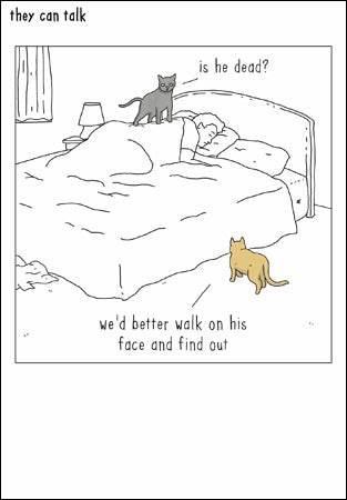 They Can Talk - Is He Dead Card - House of Cards