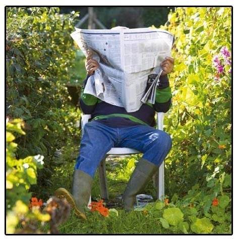 Perfect Spot Blank Greeting Card - House of Cards