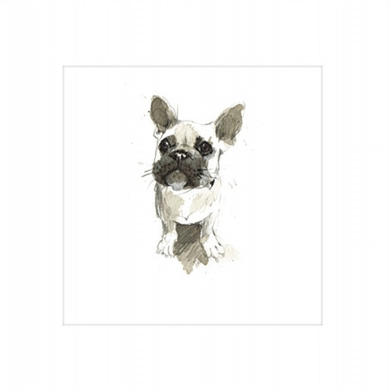French Bulldog Blank Greeting Card