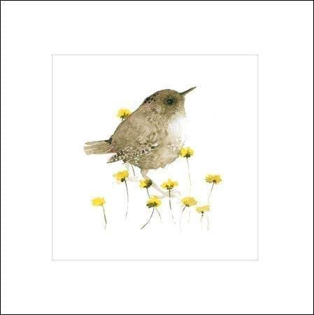 Wren Art Print Blank Greeting Card - House of Cards