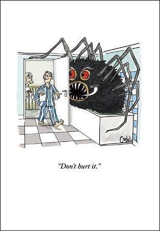Don't Hurt The Spider Blank Greeting Card - House of Cards