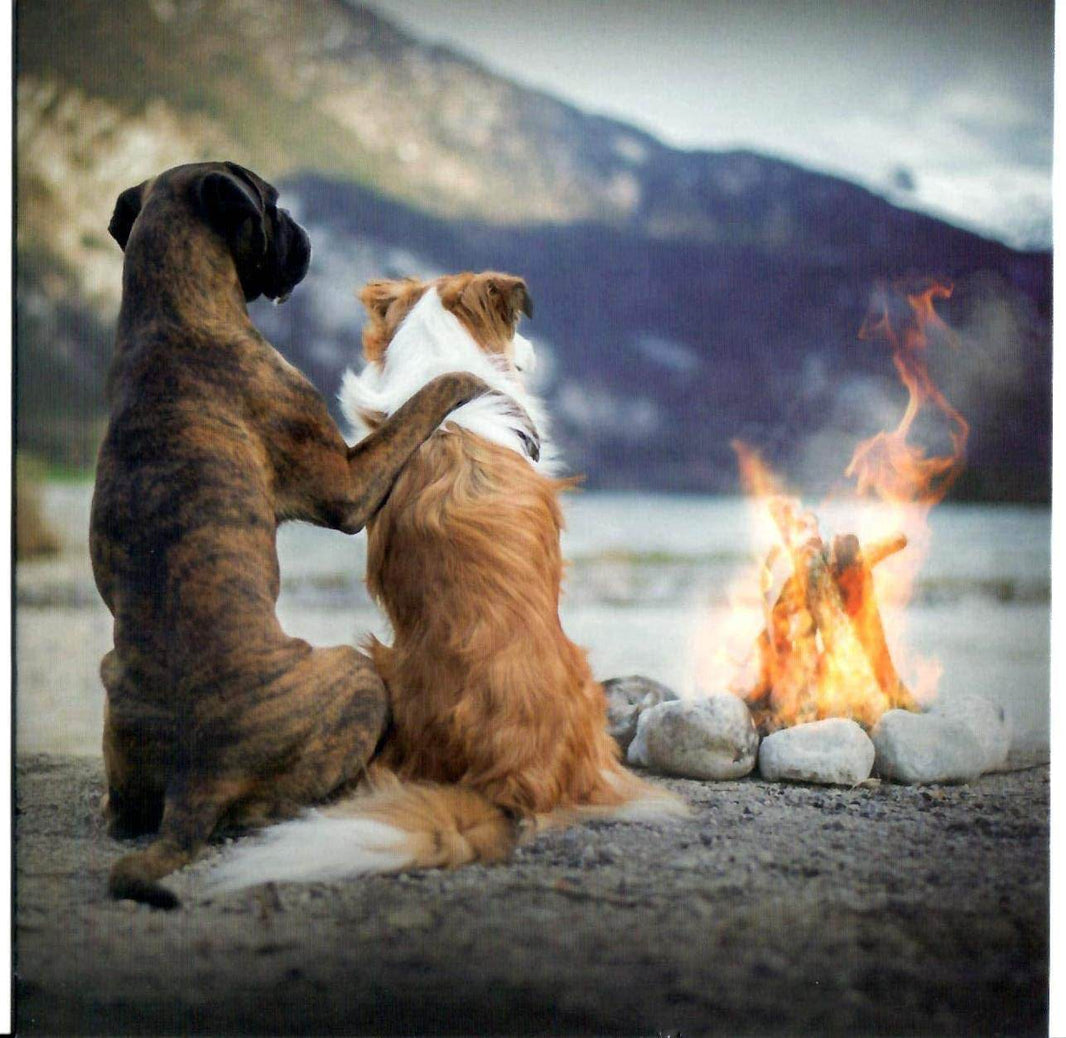 Framed The Great Outdoors Greeting Card - House of Cards