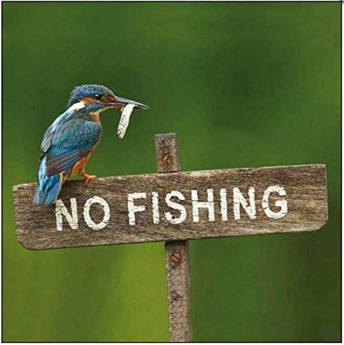 RSPB No Fishing Greeting Card - House of Cards