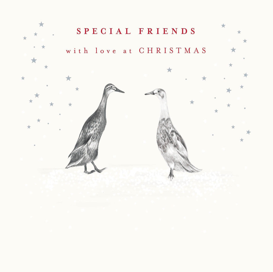 Special Friends Ducks Christmas Card - House of Cards
