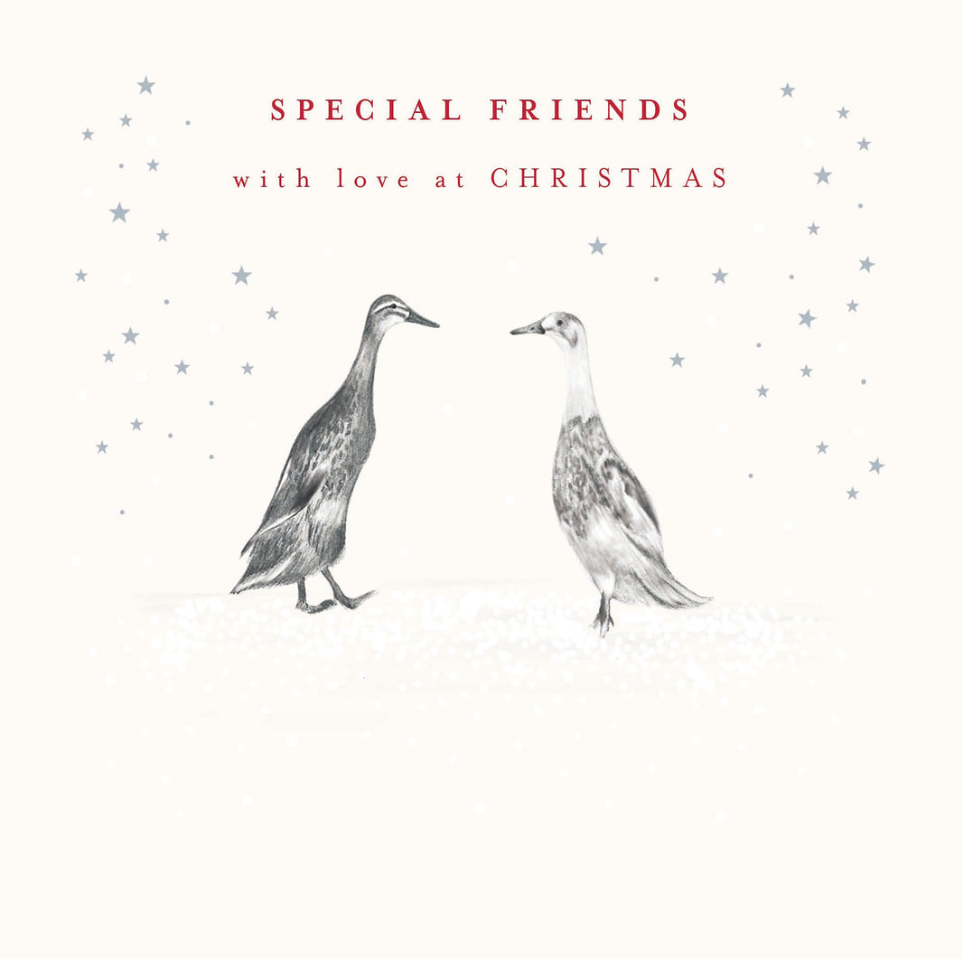 Special Friends Ducks Christmas Card