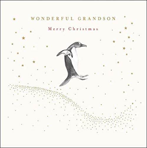 Wonderful Grandson Penguin Christmas Card - House of Cards