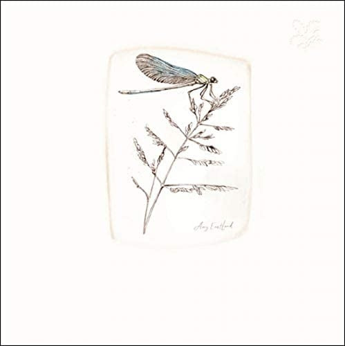National Trust Morning Dawn Greeting Card