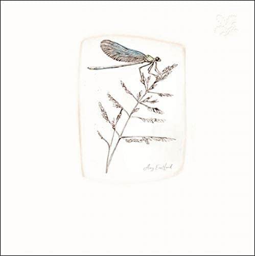 National Trust Morning Dawn Greeting Card - House of Cards