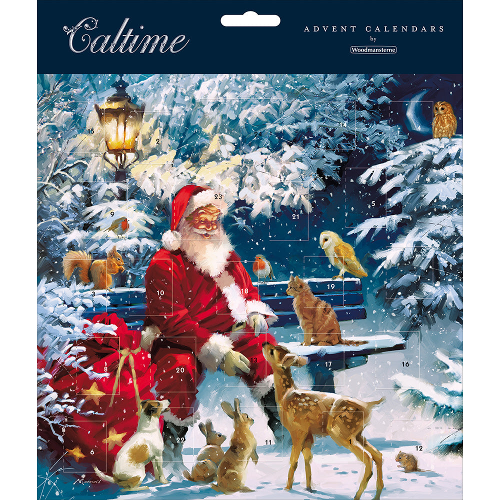 Santa on a Bench Advent Calendar