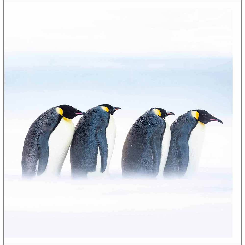 Penguin Parade Christmas Card - House of Cards
