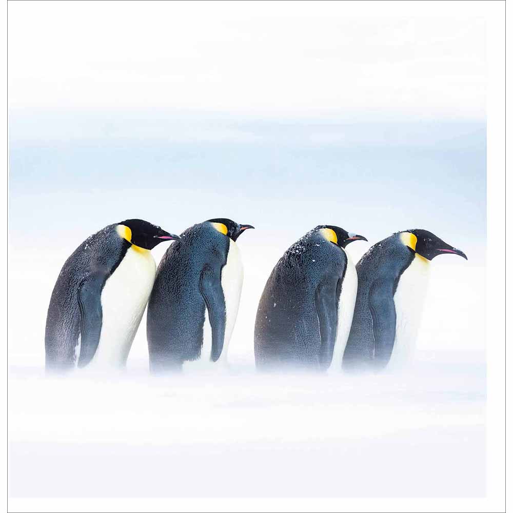 Penguin Parade Christmas Card