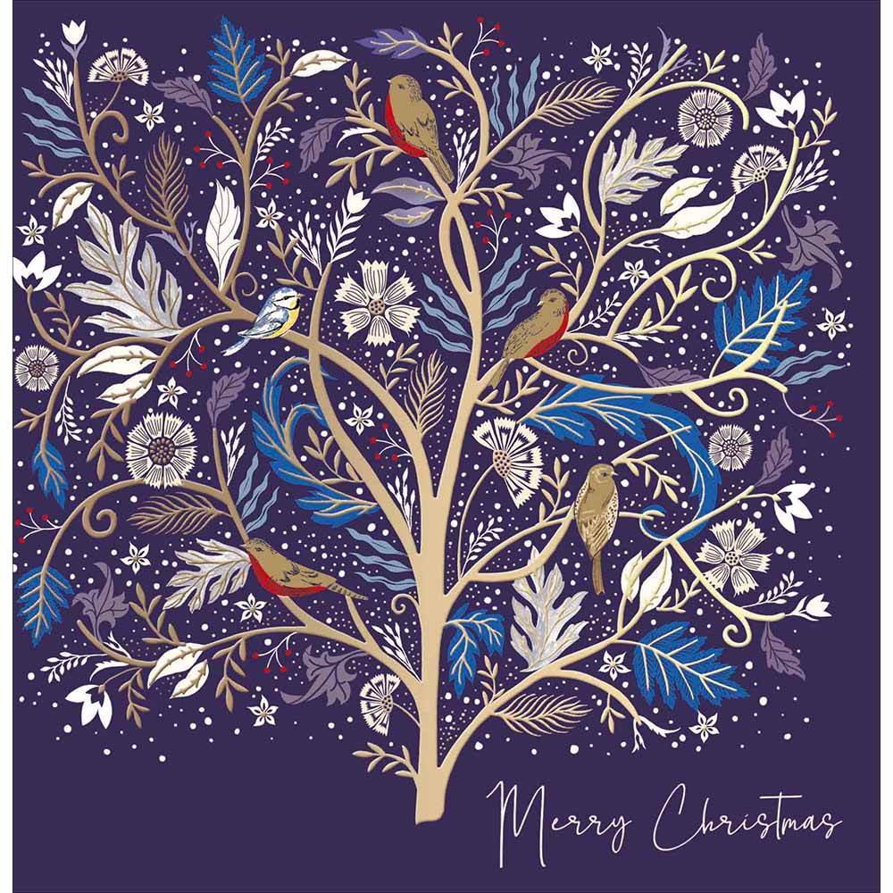 National Trust Festive Birds Christmas Card - House of Cards