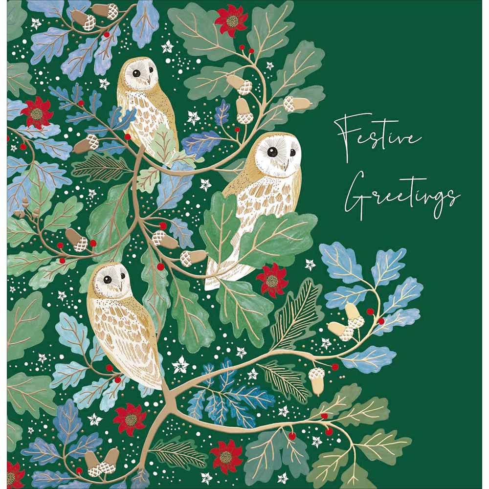 National Trust Festive Owls Christmas Card - House of Cards