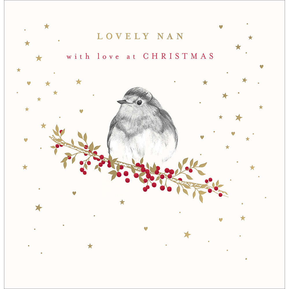 Lovely Nan Robin Christmas Card