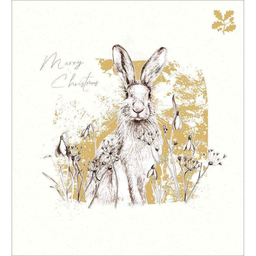 5 Hare National Trust Habitat Charity Christmas Cards - House of Cards