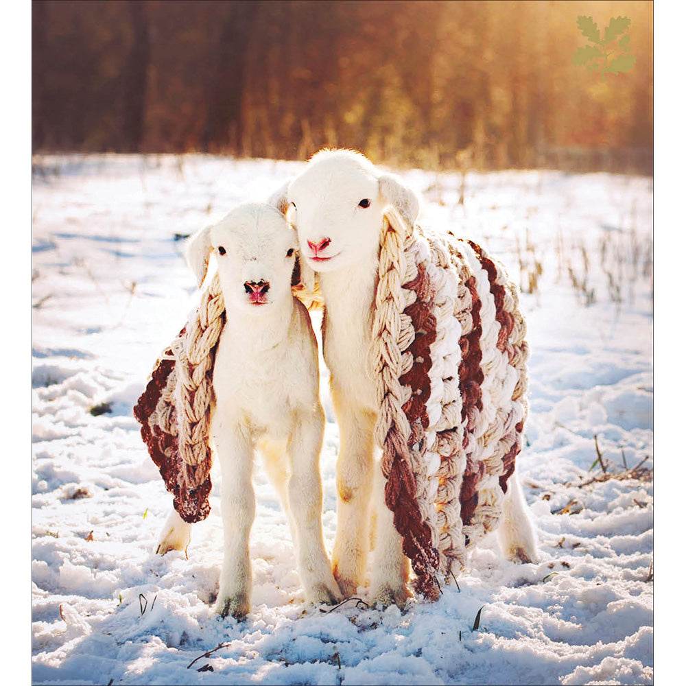 National Trust Lambs Charity Christmas Cards - House of Cards