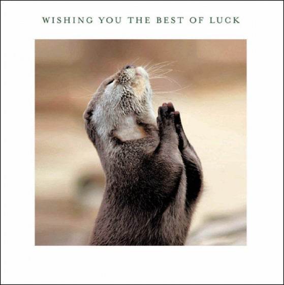 Xiss Otter Best of Luck Greeting Card - House of Cards