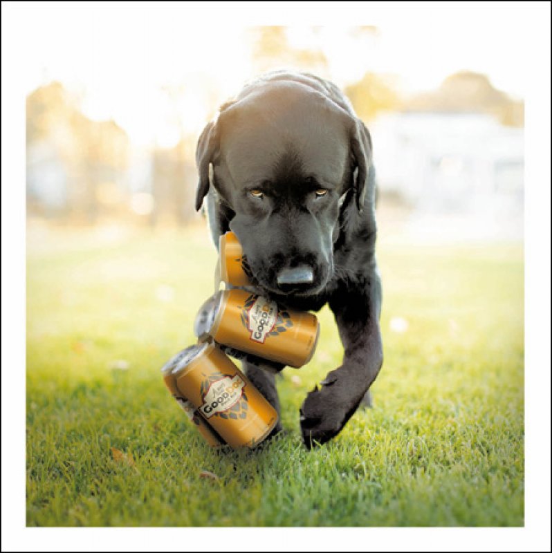 Brewer The Weekend Warrior Loose Leashes Greeting Card by Ron Schm
