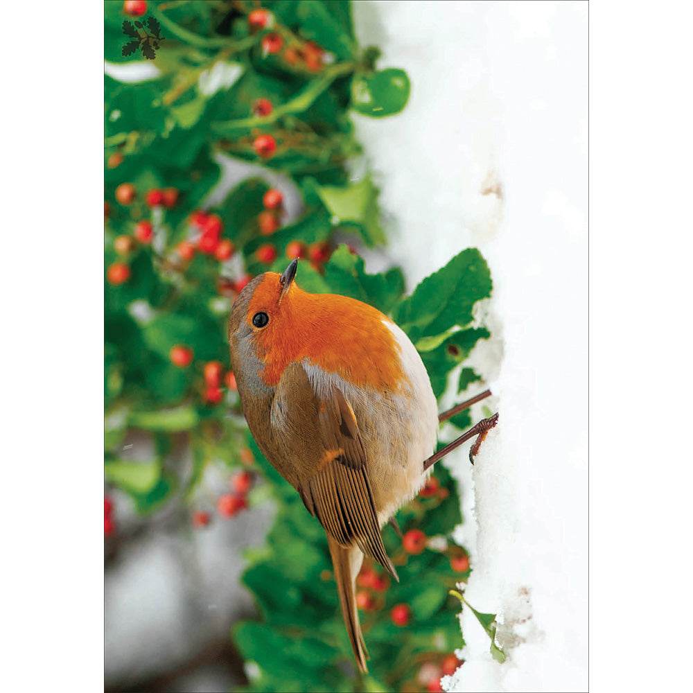 20 National Trust Charity Boxed Christmas Cards - House of Cards