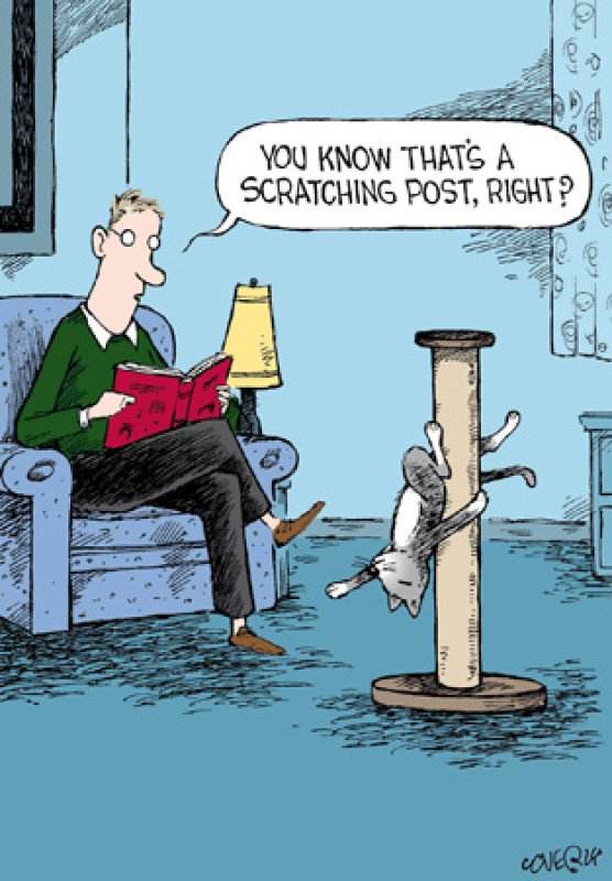 Scratching Post Card - House of Cards