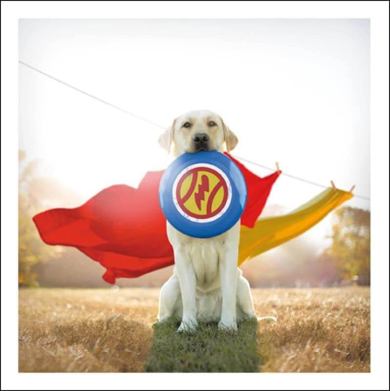 Hero The Wonderhound Loose Leashes Greeting Card by Ron Schmidt - House of Cards