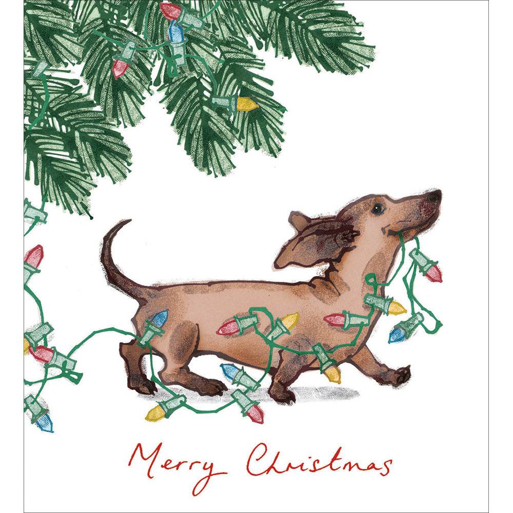 5 Dachshund Helper Charity Christmas Cards - House of Cards