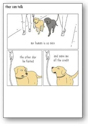 They Can Talk - My Human Is So Nice - House of Cards