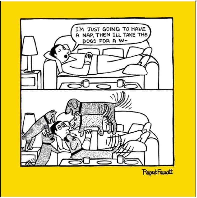 Have a Nap Greetings Card - House of Cards