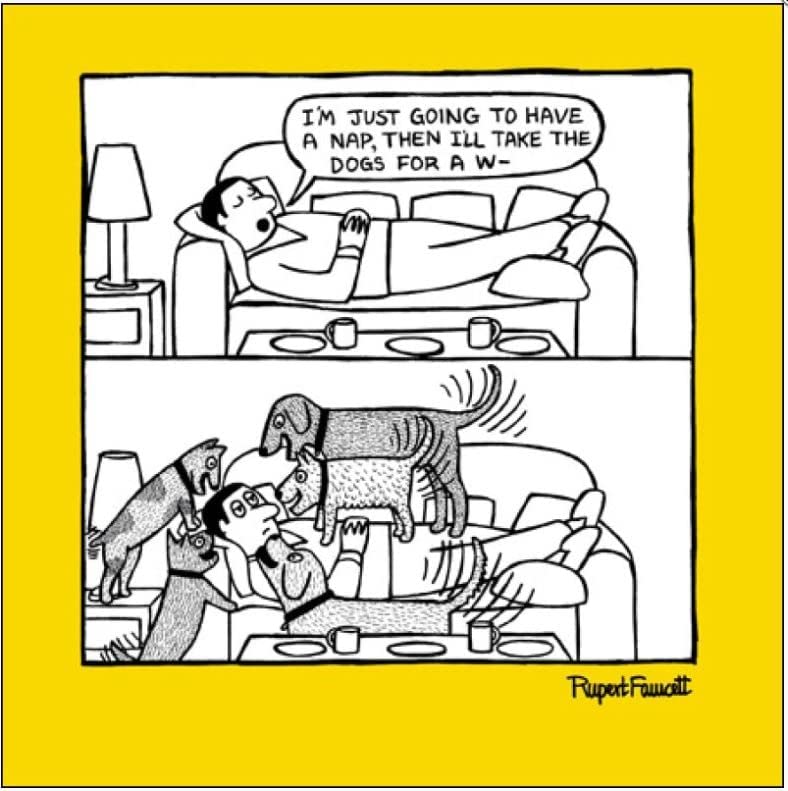 Have a Nap Greetings Card