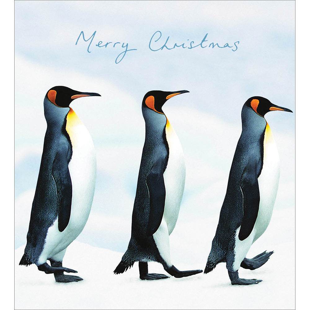 5 Penguin Patrol Charity Christmas Cards - House of Cards