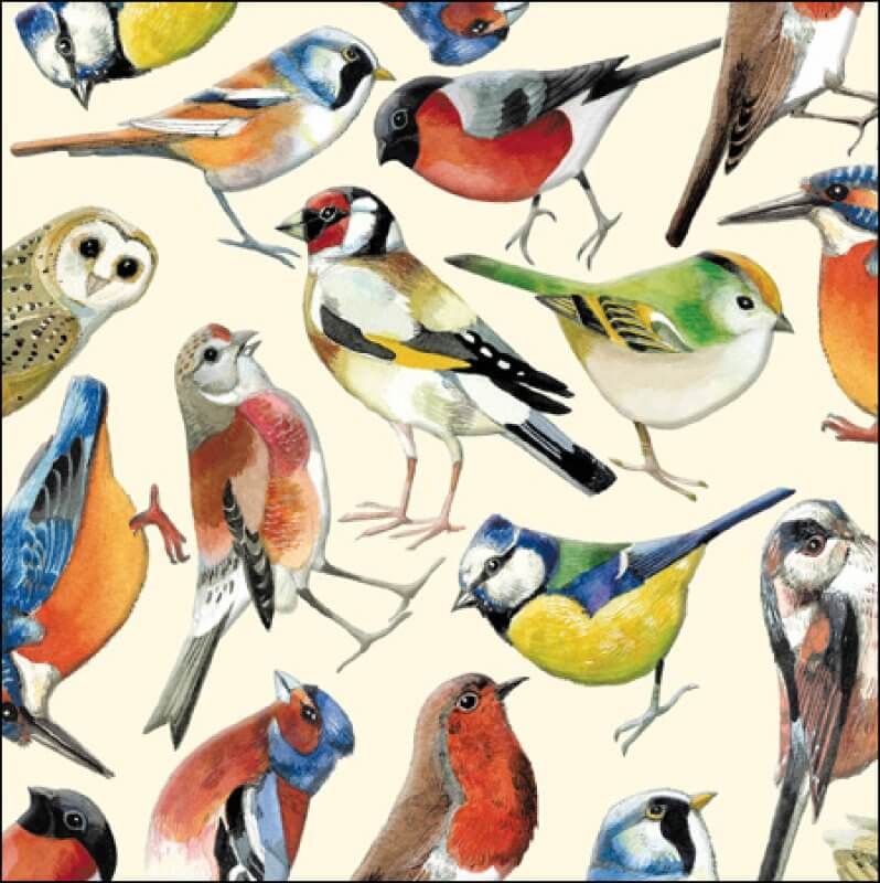 Emma Bridgewater Birds Birthday Card - House of Cards