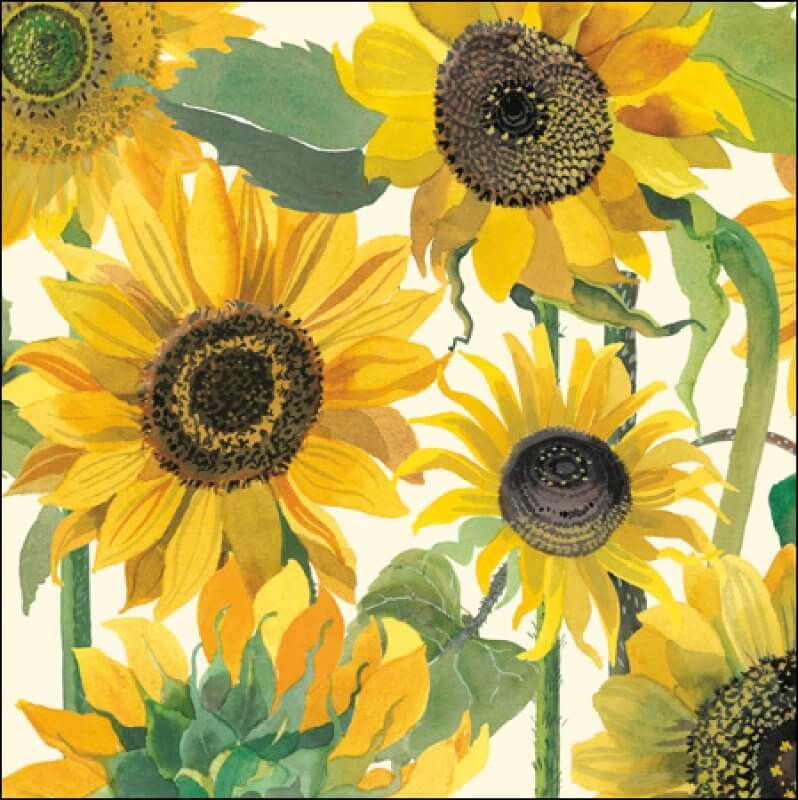Emma Bridgewater Sunflowers Birthday Card - House of Cards