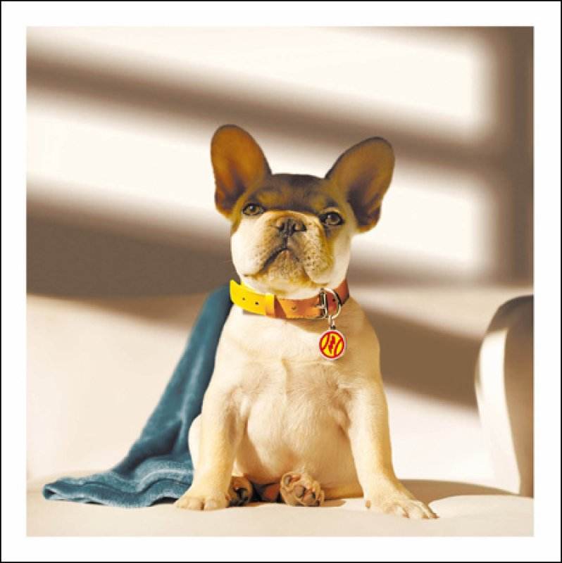 Radar The Vigilante Greeting Card - House of Cards