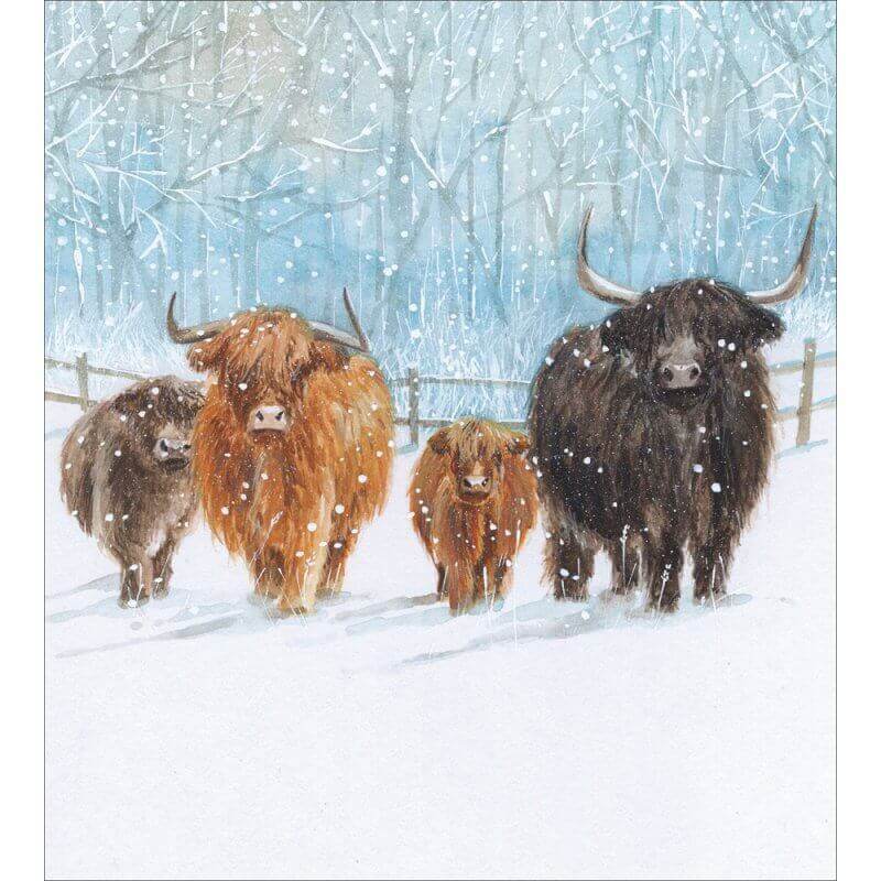 5 Highland Cows Charity Christmas Cards - House of Cards
