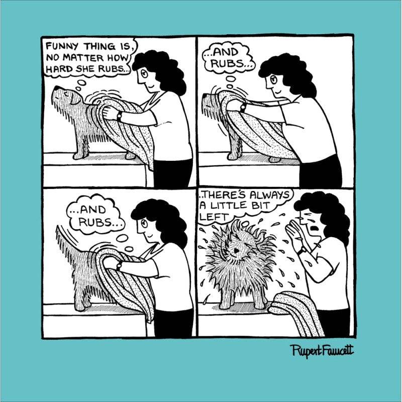 Drying Off Greetings Card - House of Cards