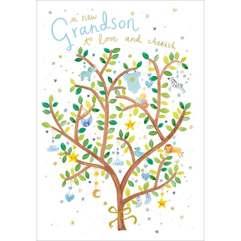 Baby Grandson Greeting Card