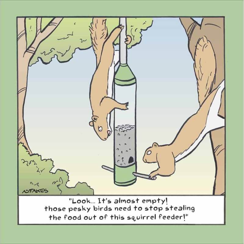 Squirrel Feeder Birthday Card - House of Cards