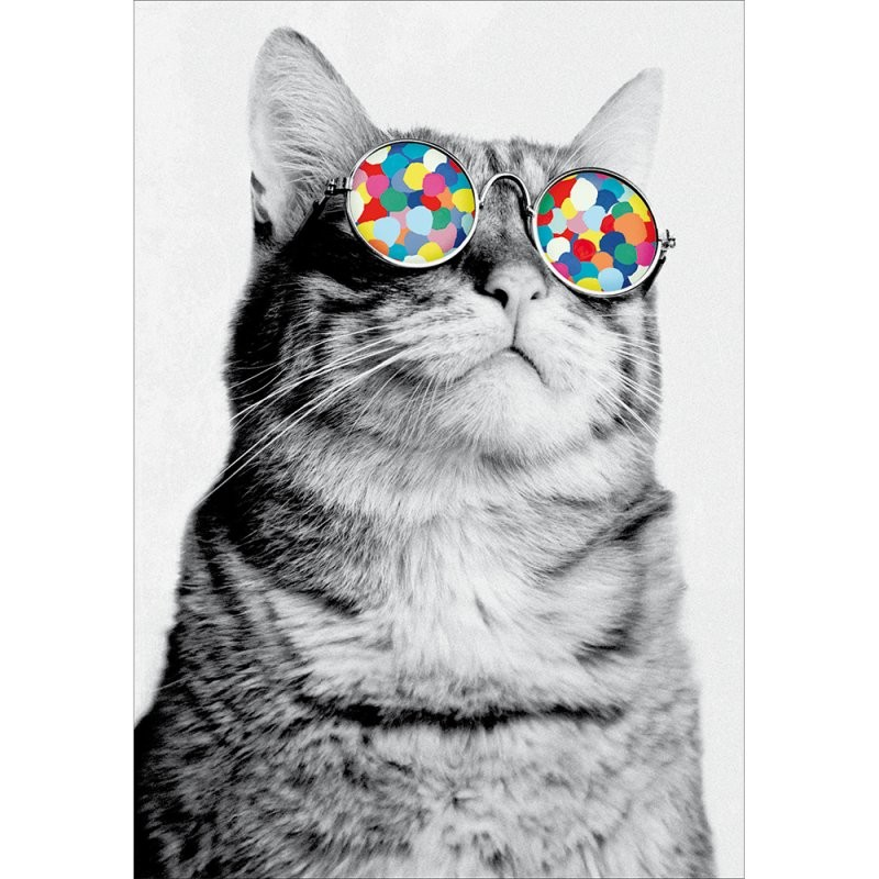 Bamboozle Cat Birthday Card