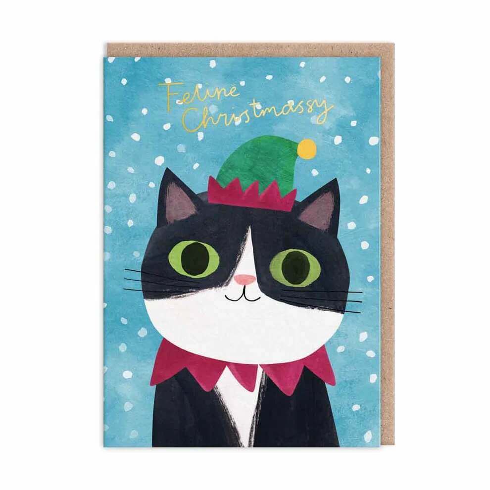 Cat Dress Up Christmas Boxed Cards - House of Cards