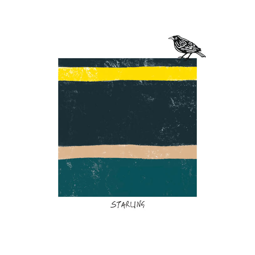 Bird Tone Starling Birthday Card