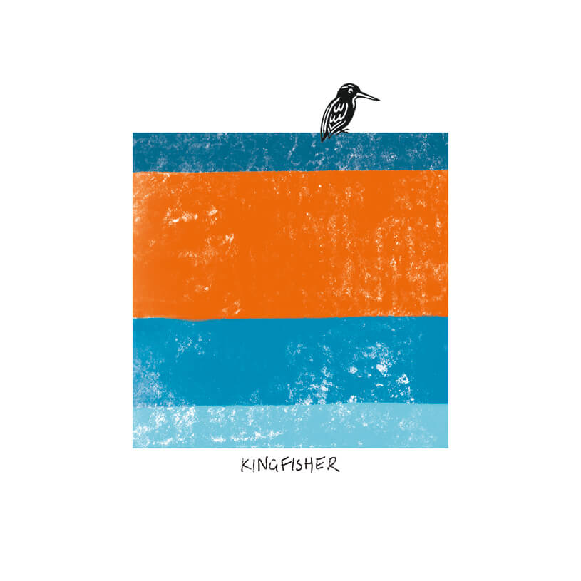 Bird Tone Kingfisher Birthday Card